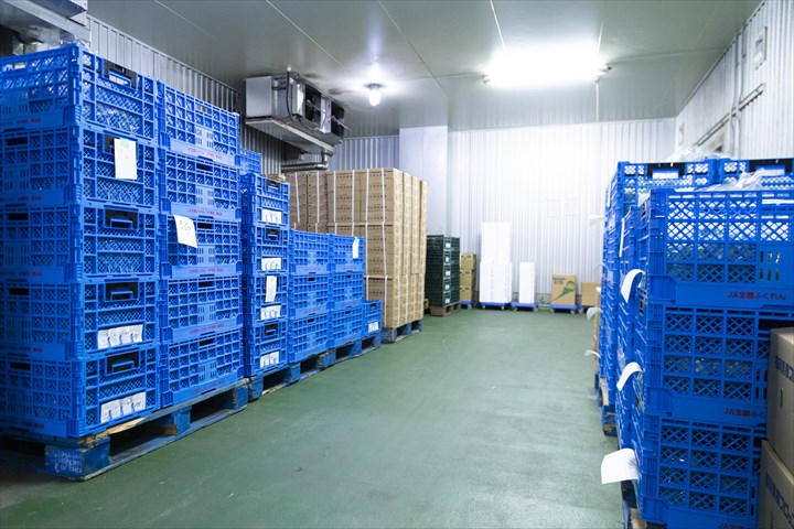 《吉川市》週払いOK・コンビニ向けのお弁当やパンの仕分け作業スタッフ！（週休2日・夜勤）